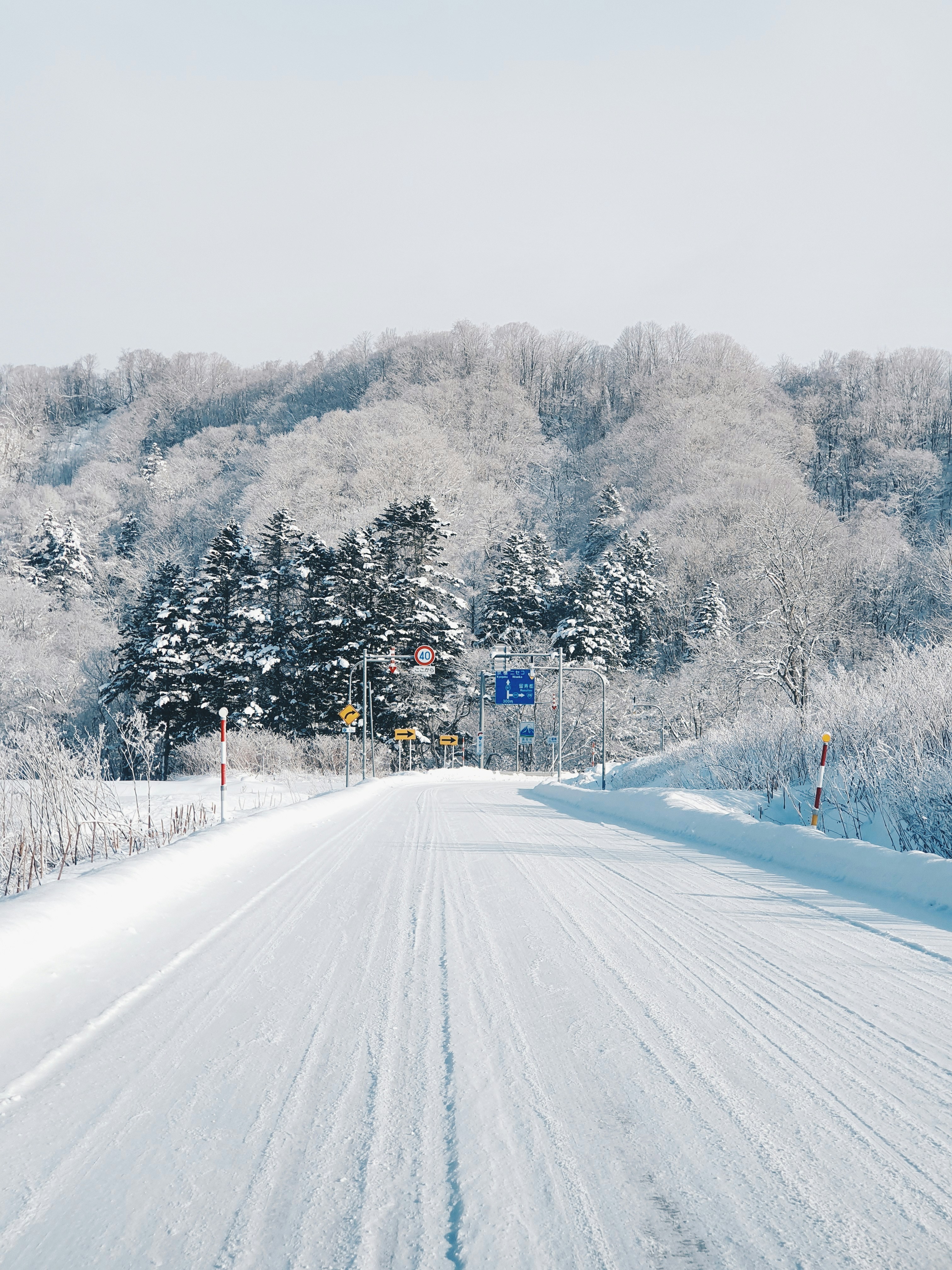 Hokkaido landscape